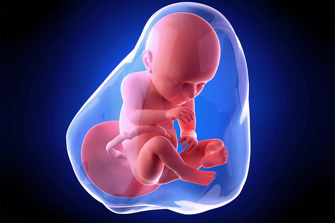 37-nedjelja-trudnoce-mamaklik 37-nedjelja-trudnoce-mamaklik