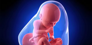 37. nedjelja trudnoće 37-nedjelja-trudnoce-mamaklik