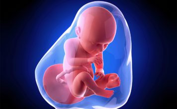 37. nedjelja trudnoće 37-nedjelja-trudnoce-mamaklik