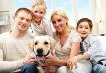 Izbor kućnog ljubimca