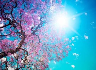 Testiranje na alergene