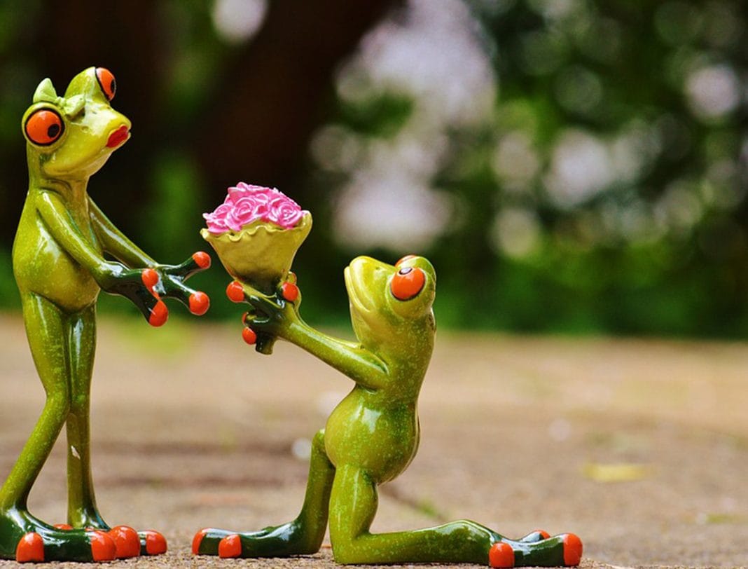 brak-po-babi-MamaklikMK