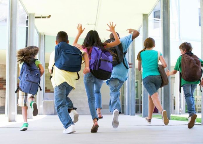 školska godina 2020