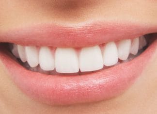 Zubi -glavne karakteristike