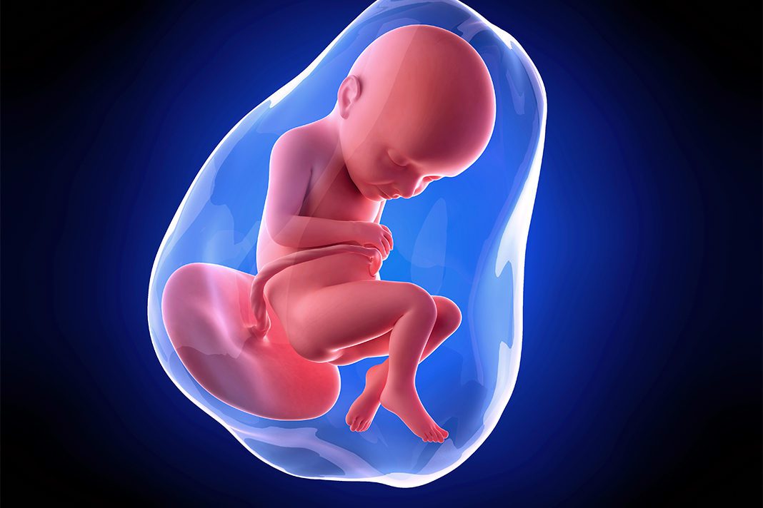 32-nedjelja-trudnoce---mamaklik 32-nedjelja-trudnoce-