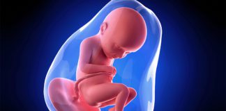 32. nedjelja trudnoće 32-nedjelja-trudnoce-