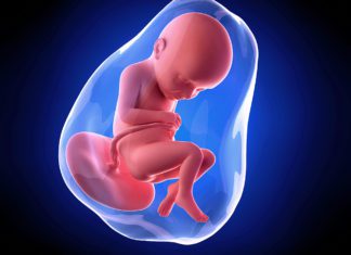 32. nedjelja trudnoće 32-nedjelja-trudnoce-