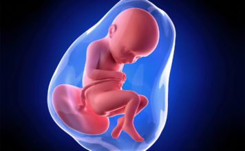 32-nedjelja-trudnoce-