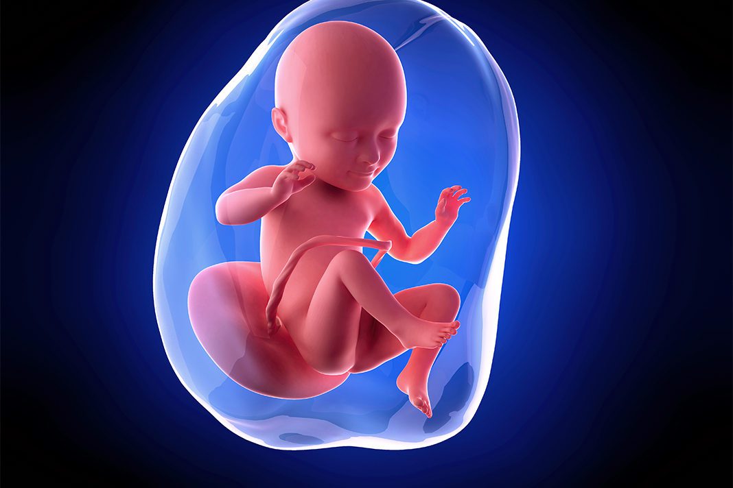 34-nedjelja-trudnoce-mamaklik Izgled ploda u 34. nedjelji trudnoće