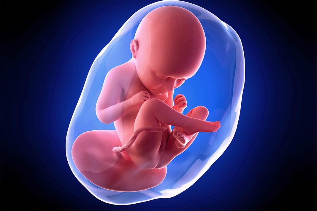 35-nedjela-trudnoce-mamaklik šta da očekujete u 35.nedjelji trudnoće