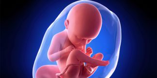 35. nedjelja trudnoće šta da očekujete u 35.nedjelji trudnoće