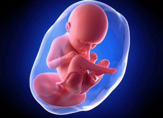 35. nedjelja trudnoće šta da očekujete u 35.nedjelji trudnoće