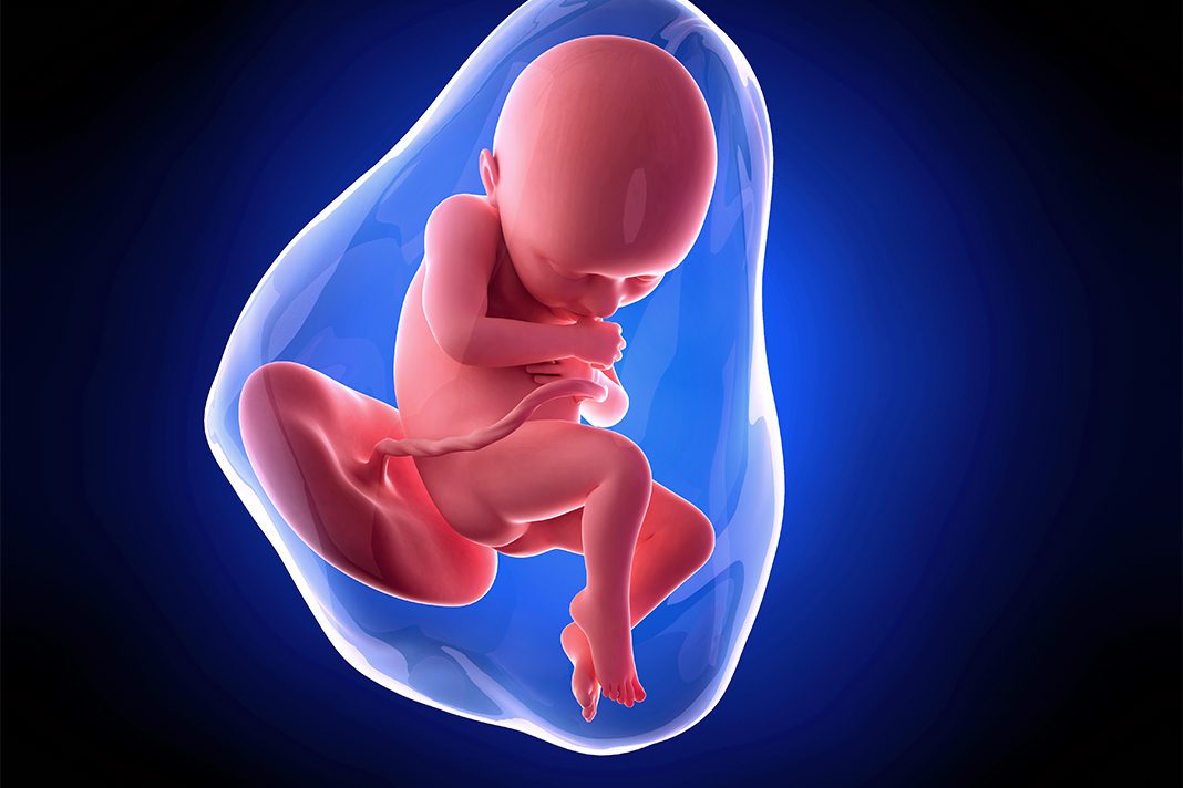 36-nedjelja-trudnoce-mamaklik 36-nedjelja-trudnoce-mamaklik