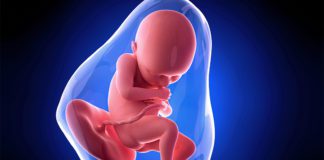 36. nedjelja trudnoće 36-nedjelja-trudnoce-mamaklik