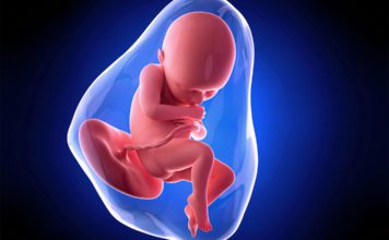 36. nedjelja trudnoće 36-nedjelja-trudnoce-mamaklik