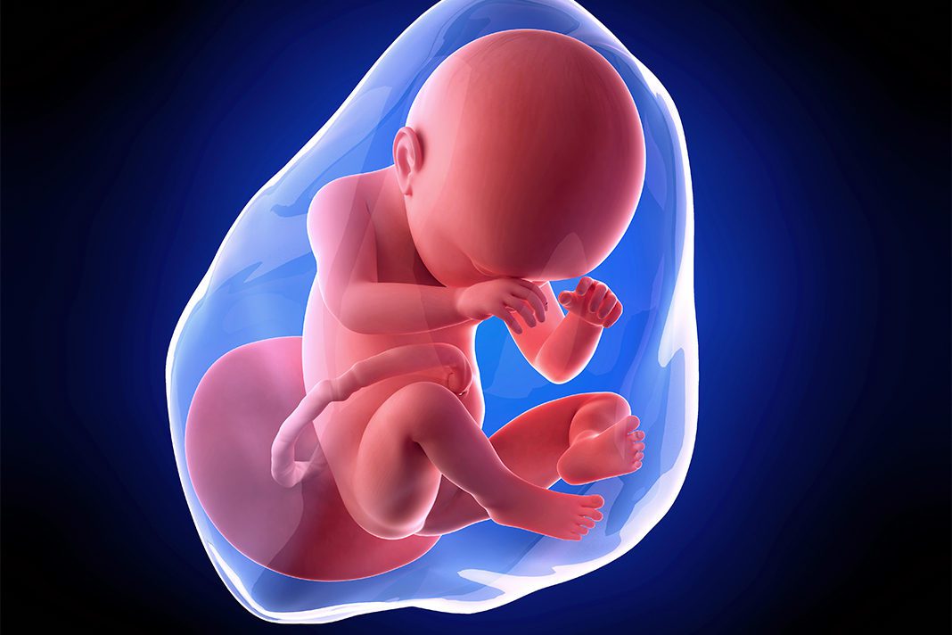 38-nedjelja-trudnoce--mamaklik 38 nedjelja trudnoce