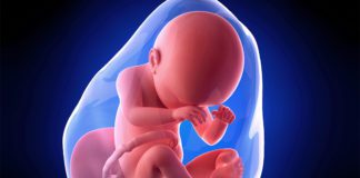 38. nedjelja trudnoće 38 nedjelja trudnoce