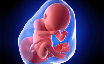 38. nedjelja trudnoće 38 nedjelja trudnoce