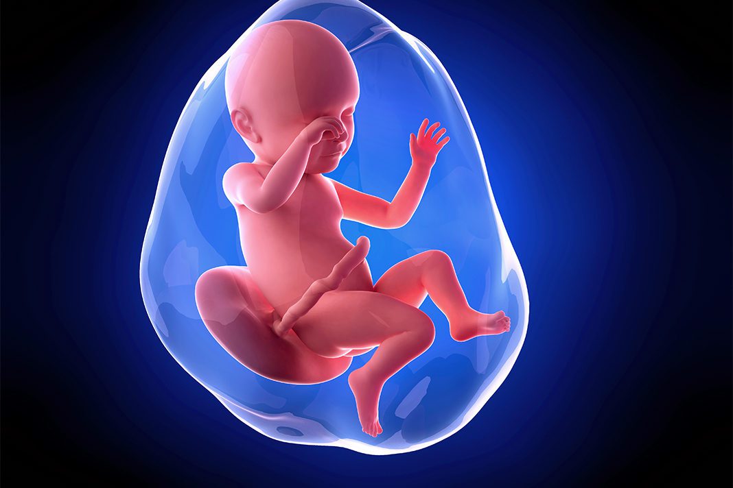 39-nedjelja-trudnoce--mamaklik šta vas očekuje u 39 nedjelji trudnoće