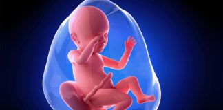 39. nedjelja trudnoće šta vas očekuje u 39 nedjelji trudnoće