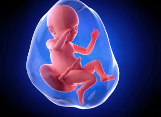 39. nedjelja trudnoće šta vas očekuje u 39 nedjelji trudnoće