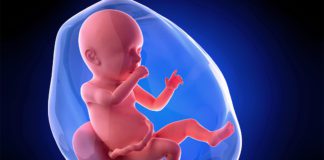 40. nedjelja trudnoće