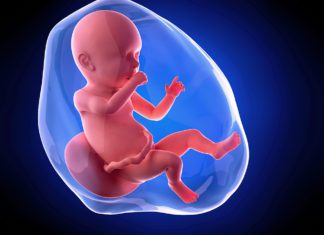 40. nedjelja  trudnoće