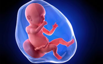 40. nedjelja trudnoće