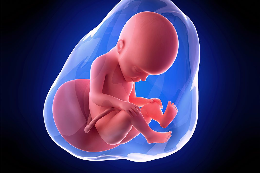 27. nedjelja trudnoce