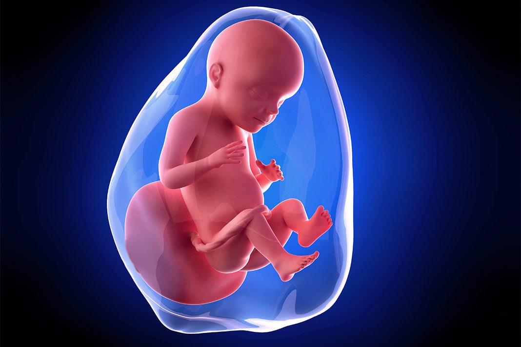 28 nedjelja trudnoce-mamaklik 28. nedjelja trudnoce