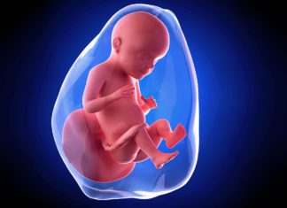 28. nedjelja trudnoće 28. nedjelja trudnoce