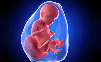 28. nedjelja trudnoće 28. nedjelja trudnoce