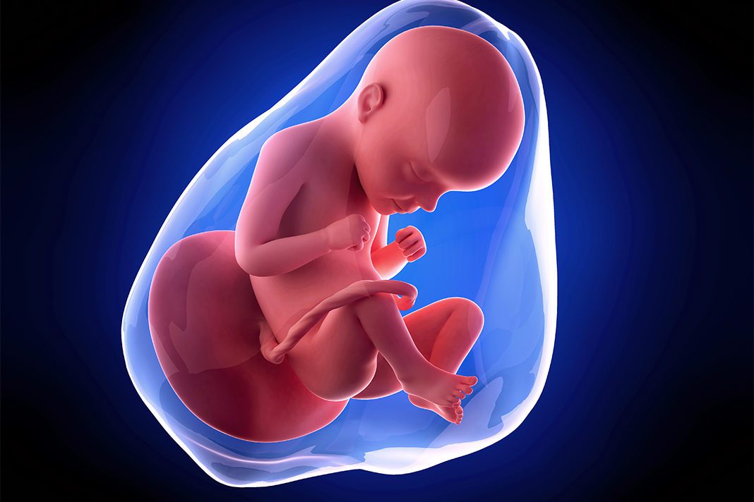 29-nedjelja-trudnoce--mamaklik 29. nedjelja trudnoce