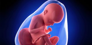 29. nedjelja trudnoće 29. nedjelja trudnoce