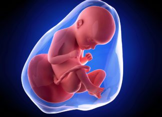 29. nedjelja trudnoće 29. nedjelja trudnoce