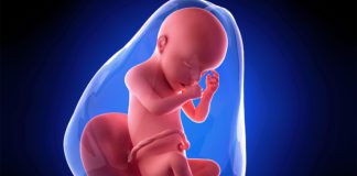 30. nedjelja trudnoće