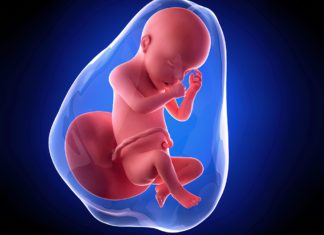 30. nedjelja trudnoće