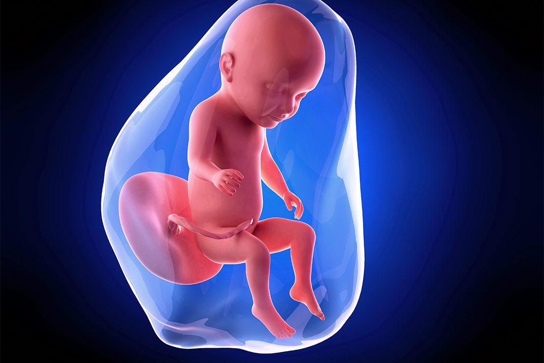 31 nedjelja trudnoce