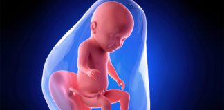 31. nedjelja trudnoće 31 nedjelja trudnoce