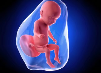 31. nedjelja trudnoće 31 nedjelja trudnoce