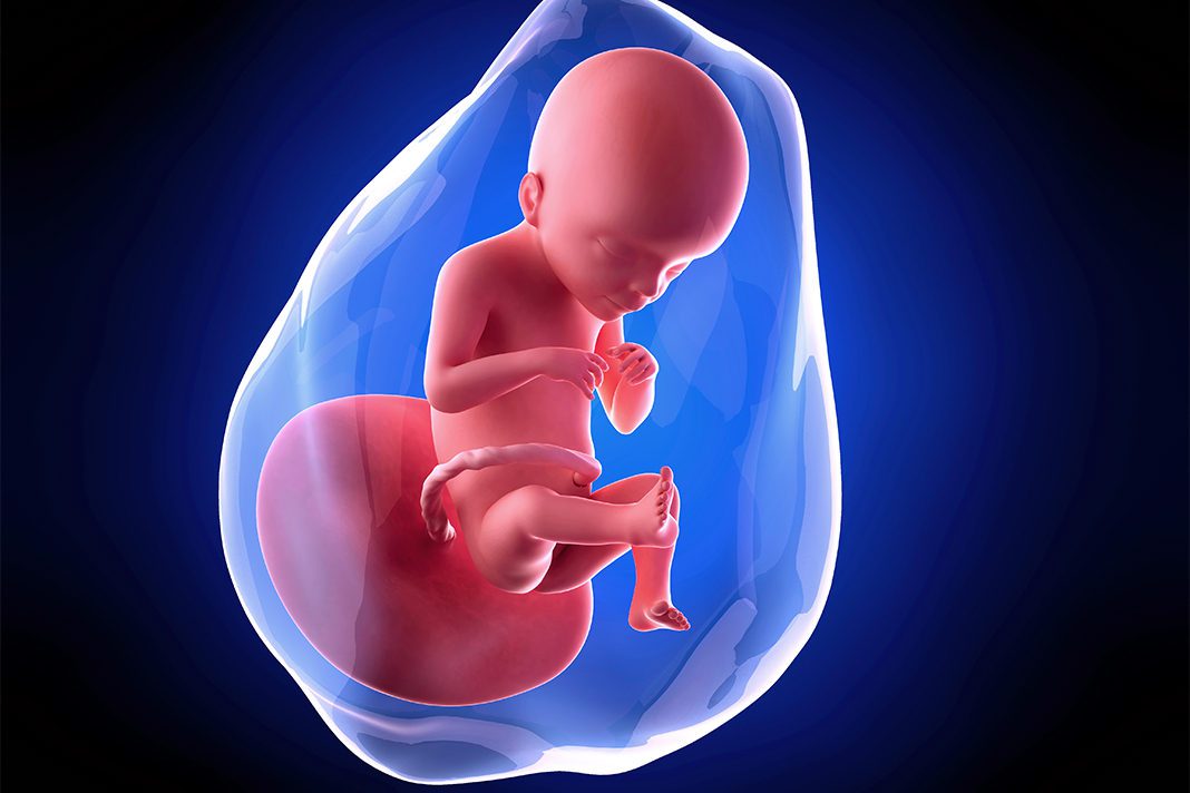 21-nedjelja-trudnoce