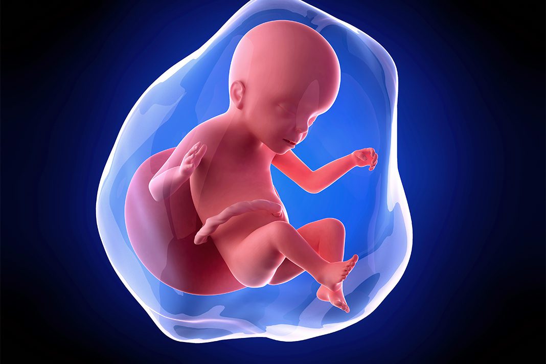 23-nedjelja-trudnoce-mamaklik