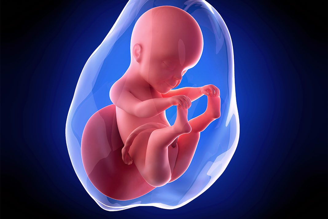 25-nedjleja-trudnoce---mamaklik