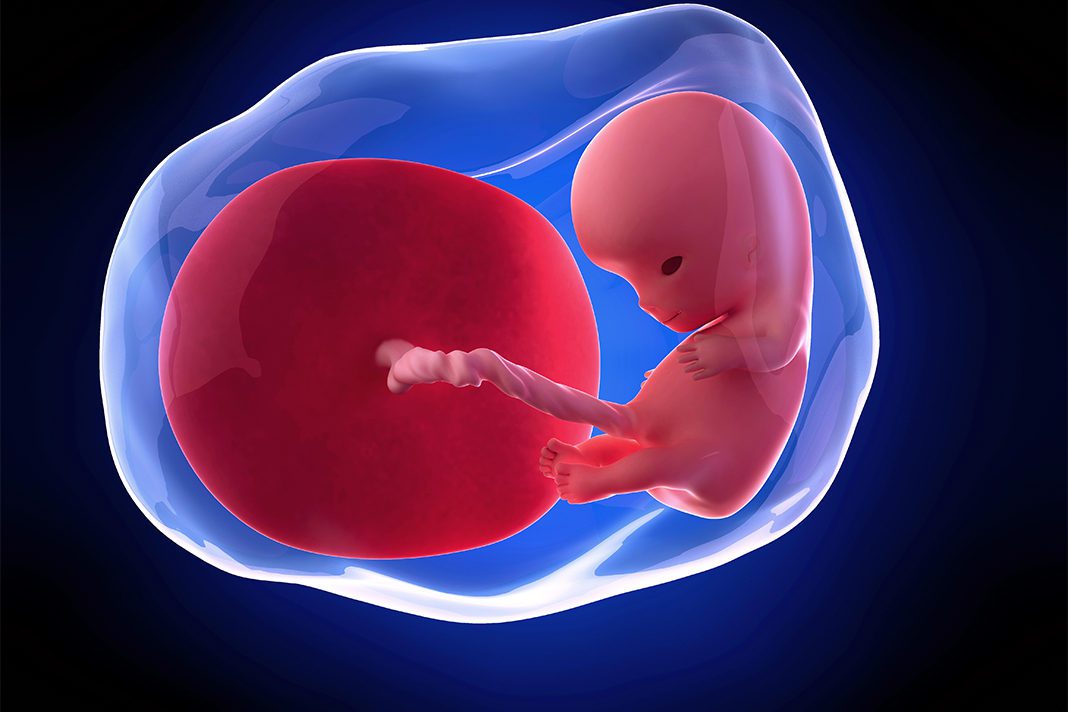 10-nedjelja-trudnoce-mamaklik