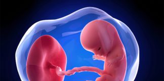 11. nedjelja trudnoće