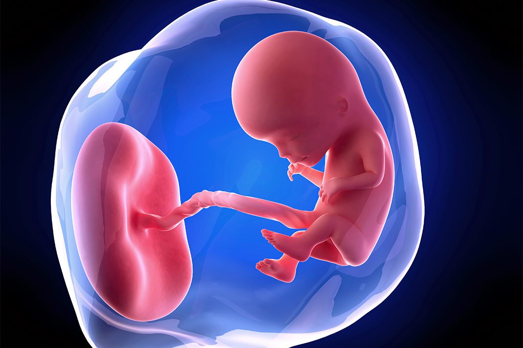 12-nedjelja-trudnoce-mamaklik