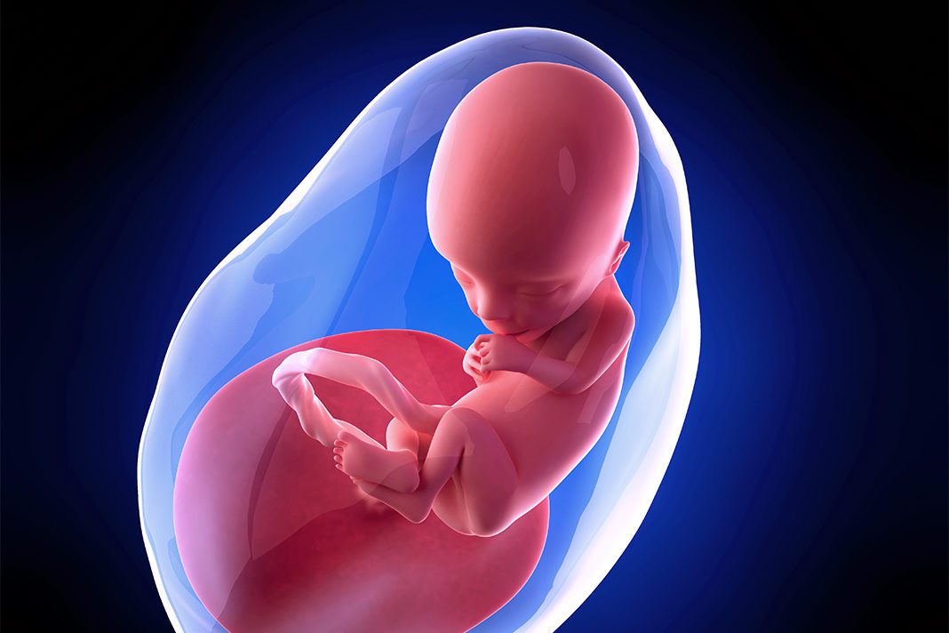 13-nedjelja-trudnoce-mamaklik