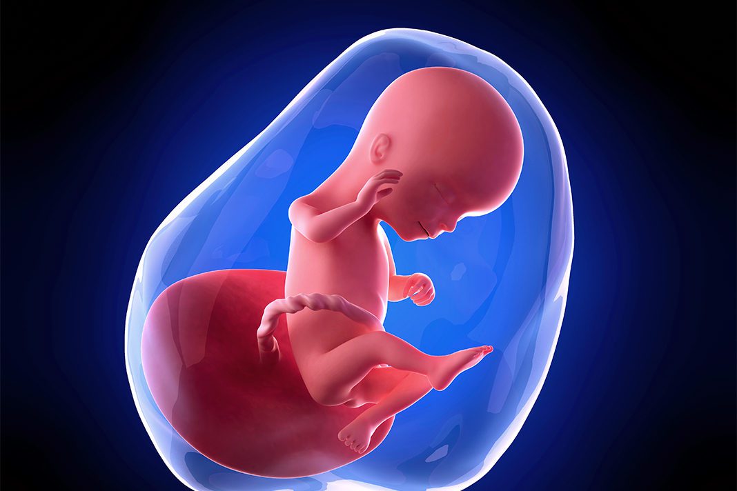 16-nedjelja-trudnoce-mamaklik