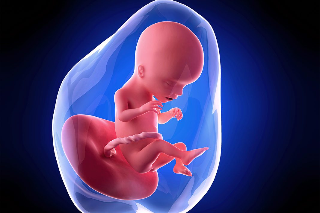 17-nedjelja-trudnoce-mamaklik