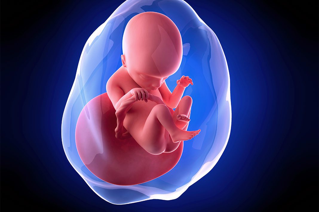 18-nedjelja-trudnoce-mamaklik